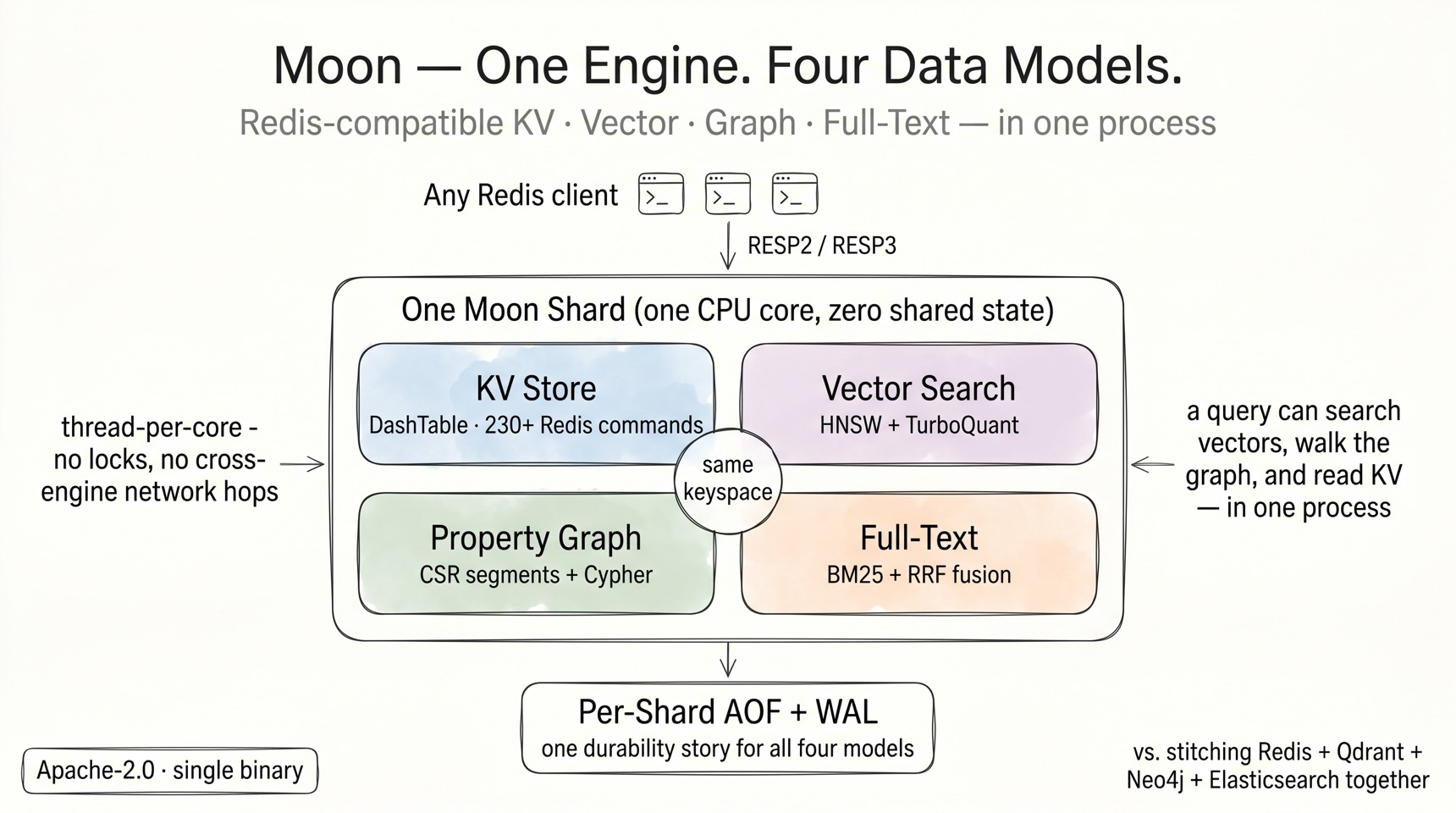 Moon β One Engine, Four Data Models